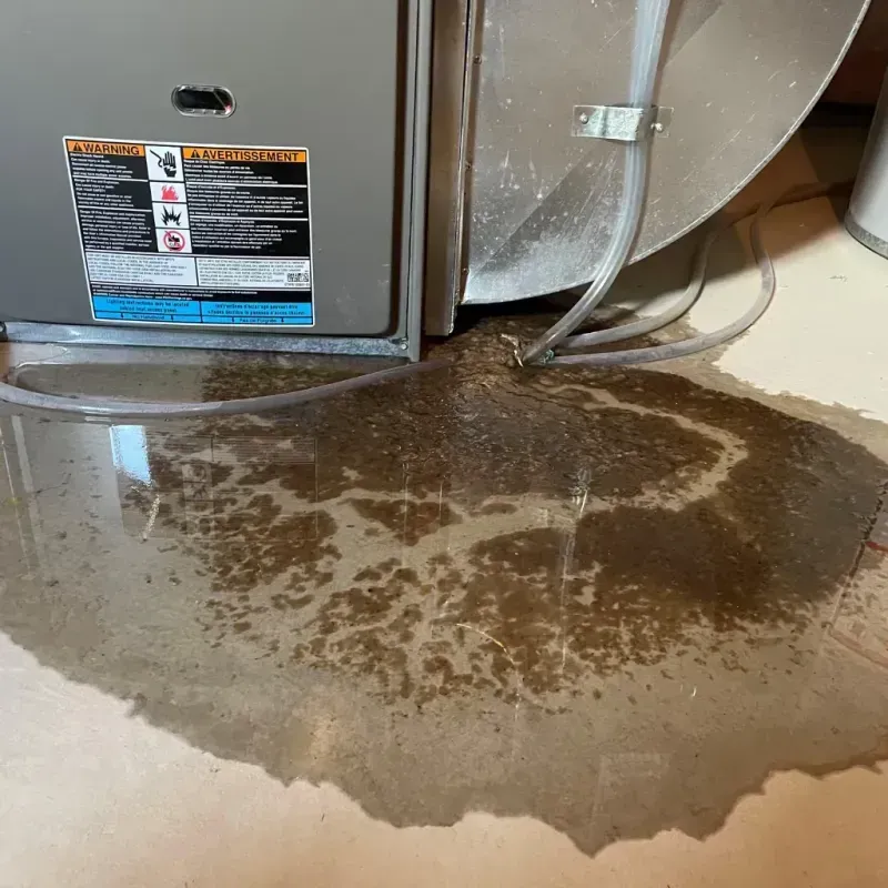 Appliance Leak Cleanup in North Liberty, IA